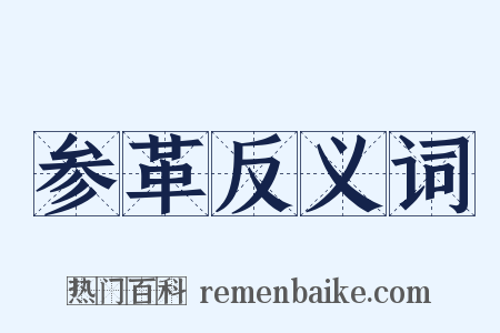 参革反义词是什么意思的图片